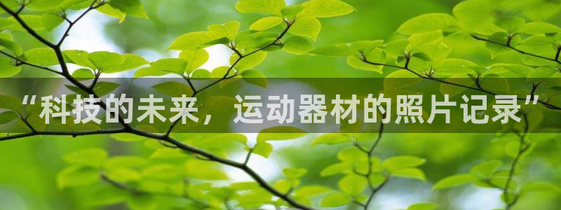 米兰体育官方正版app娱乐是那个系列的台子：“科技的未来，运