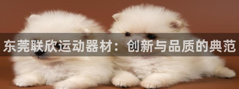 米兰体育官方正版app开户：东莞联欣运动器材：创新与品质的典