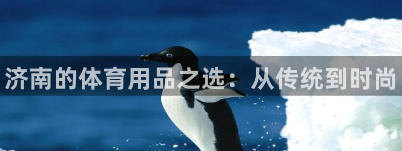 米兰体育官方正版app代理：济南的体育用品之选：从传统到时尚