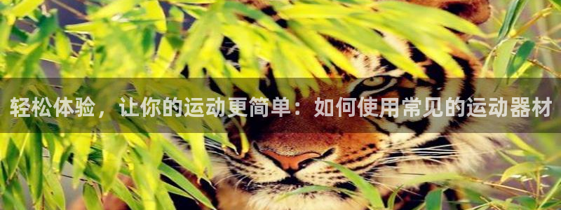 米兰体育官方正版app娱乐平台：轻松体验，让你的运动