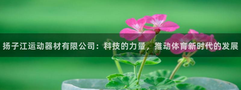 米兰体育官方正版app官方：扬子江运动器材有限公司：科技的力