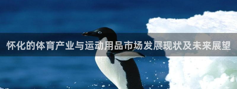 米兰体育官方正版app官方：怀化的体育产业与运动用品市场发展