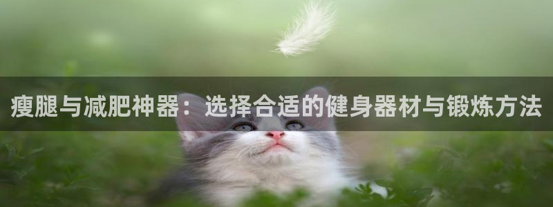 米兰体育官方正版app娱乐下载：瘦腿与减肥神器：选择合适的健