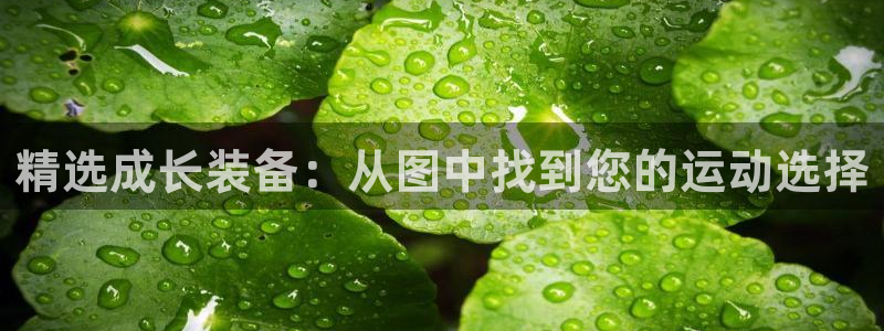 米兰体育官网下载招商电话号码是多少号：精选成长装备：从图中找