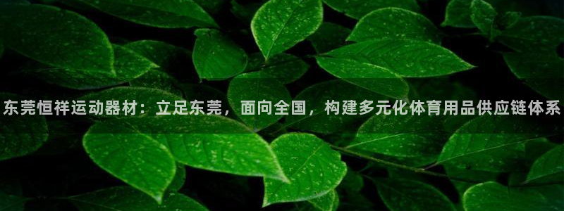 米兰体育官方正版app集团