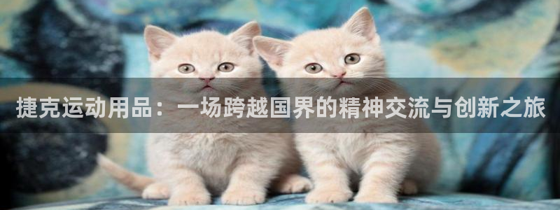 米兰体育官网下载平台：捷克运动用品：一场跨越国界的精