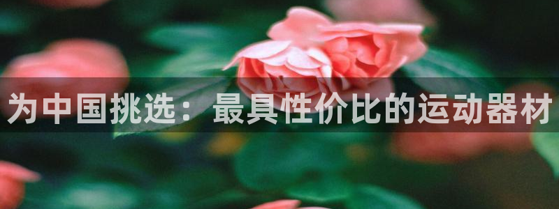 米兰体育官方正版app集团E.ON