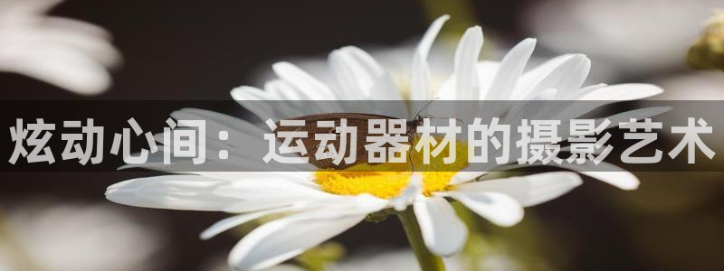 米兰体育官方正版app开户：炫动心间：运动器材的摄影艺术