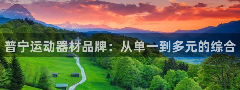 米兰体育官方正版app官方：普宁运动器材品牌：从单一到多元的