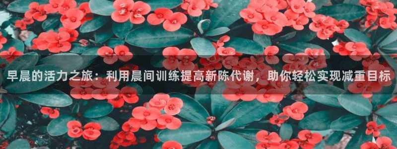 米兰体育官网下载招商电话地址查询