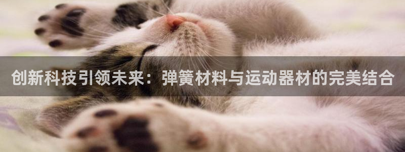 米兰体育官网下载招商电话地址：创新科技引领未来：弹簧材料与运