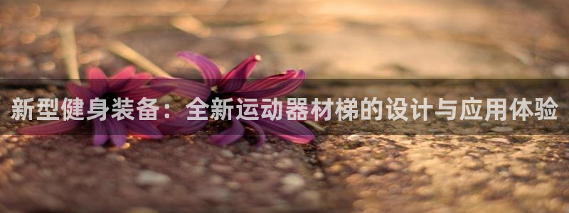 米兰体育官方正版app娱乐网站：新型健身装备：全新运动器材梯