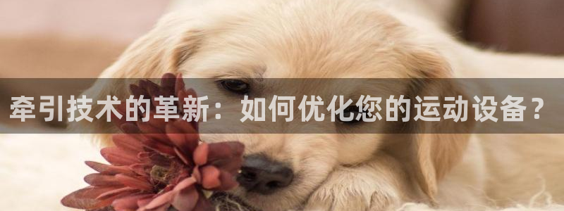 米兰体育官方正版app代理：牵引技术的革新：如何优化您的运动