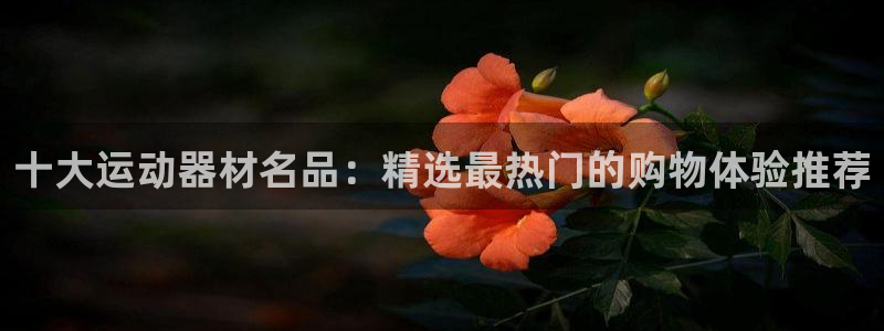 米兰体育官方正版app官方