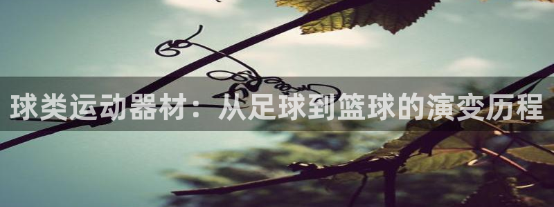 米兰体育官方正版app开户