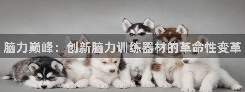 米兰体育官网下载平台假的吗是真的吗：脑力巅峰：创新脑力训练器