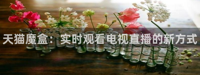 球友直播在线：天猫魔盒：实时观看电视直播的新方式