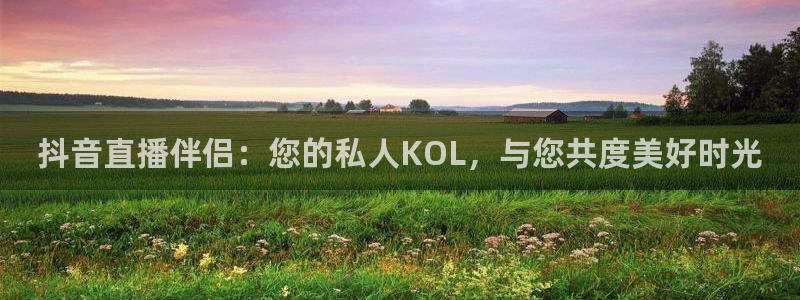 qy千亿球友体育：抖音直播伴侣：您的私人KOL，与您共度美好时光