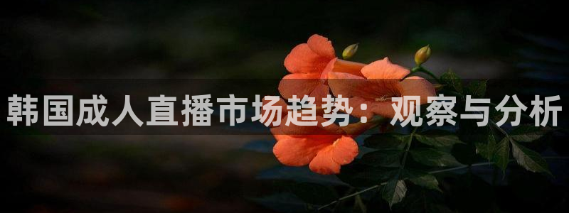 qy球友会体育网站：韩国成人直播市场趋势：观察与分析