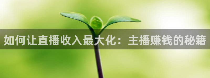球友体育在线直播：如何让直播收入最大化：主播赚钱的秘籍