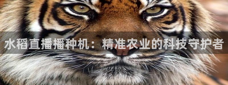 球友体育下载：水稻直播播种机：精准农业的科技守护者