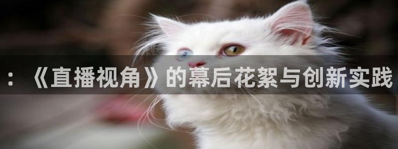 球友直播平台：：《直播视角》的幕后花絮与创新实践