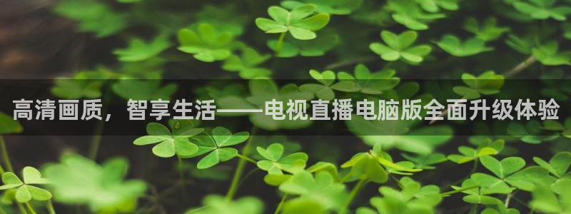 球友nba直播