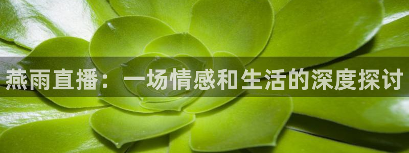 球友体育下载：燕雨直播：一场情感和生活的深度探讨