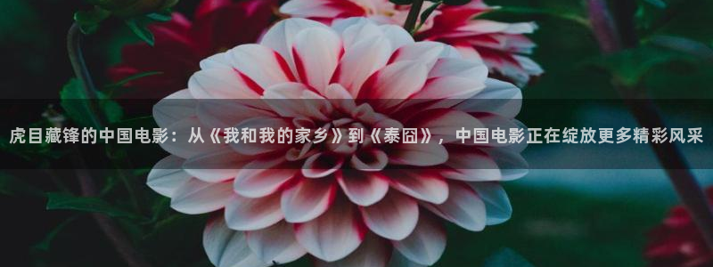 球友直播在线：虎目藏锋的中国电影：从《我和我的家乡》到《泰囧》，中国电影正在绽放更多精彩风采